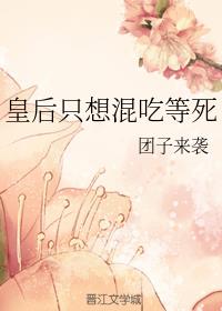 �ʺ�ֻ���Ե���