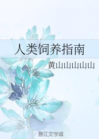 ��������ָ��