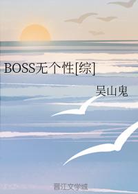 BOSS޸[]