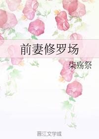 ǰ�����޳�