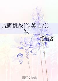 ��Ұ��ս[��Ӣ��/����]