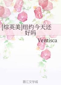 [��Ӣ��]ŦԼ���컹����