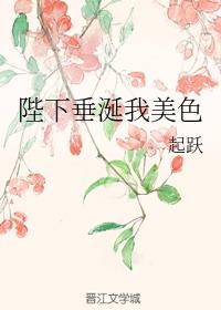 ������ò�������