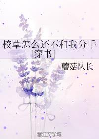 У����ô�������ҷ���[����]