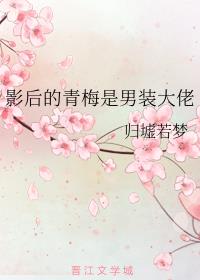 Ӱ�����÷����װ����