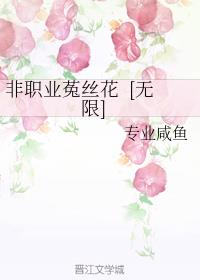 ��ְҵ��˿��&nbsp;&nbsp;[����]