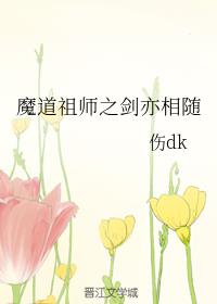 ħ����ʦ֮��������