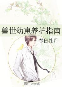 ������������ָ��