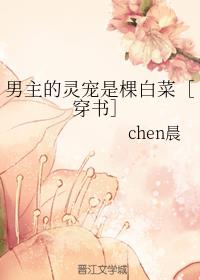 ����������ǿðײˣ۴����