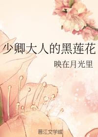 ������˵ĺ�����