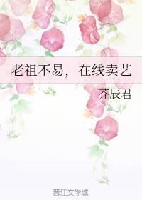 ���治�ף���������