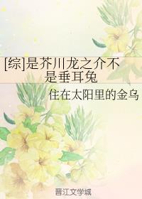 [��]�ǽ洨��֮�鲻�Ǵ�����