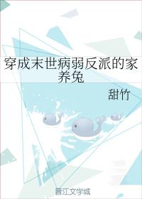 ����ĩ���������ɵļ�����