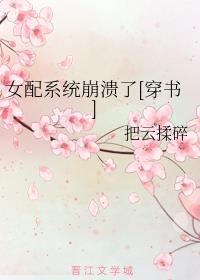 Ů��ϵͳ������[����]