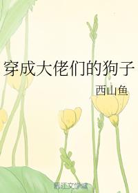 ���ɴ����ǵĹ���