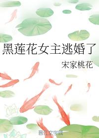 ������Ů���ӻ���