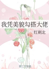 ��ƾ��ò�������