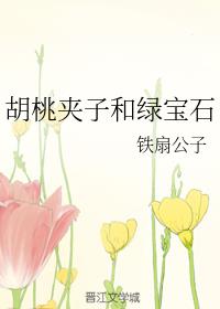 ���Ҽ��Ӻ��̱�ʯ