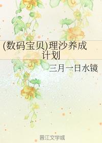 (���뱦��)��ɳ���ɼƻ�