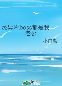 ����Ƭboss�������Ϲ�