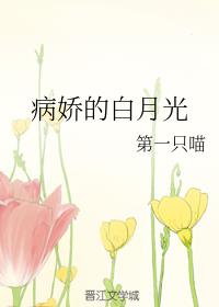 �����İ��¹�