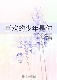 ϲ������������