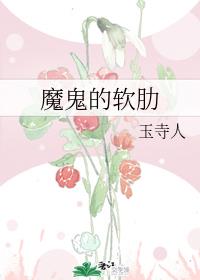 ħ��������