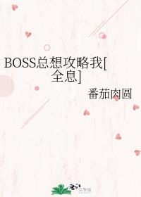 BOSS���빥����[ȫϢ]