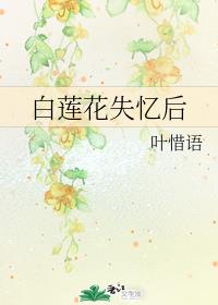 ������ʧ���