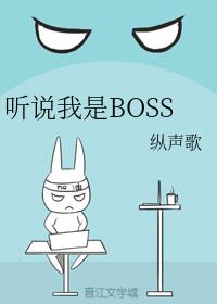˵BOSS