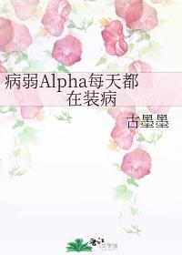 ����Alphaÿ�춼��װ��