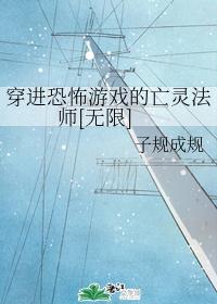 �����ֲ���Ϸ�����鷨ʦ[����]