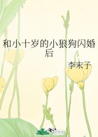 ��Сʮ���С�ǹ������