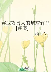 ���ɹ����˵��ڻ�����[����]