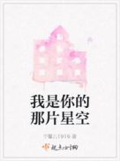 ���������Ƭ�ǿ�