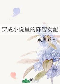 ����С˵��Ľ���Ů��