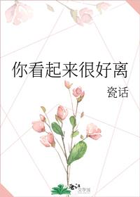 �㿴�����ܺ���