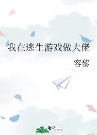 ����������Ϸ������