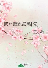 �����ݻٸۺ�[��]