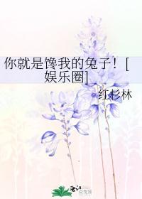 ����ǲ��ҵ����ӣ�[����Ȧ]