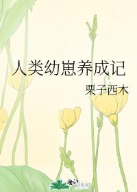 �����������ɼ�