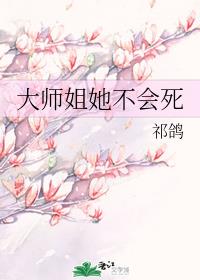 ��ʦ����������