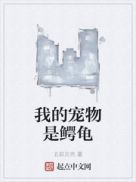 �ҵĳ���������