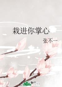 �Խ�������