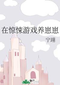 �ھ����Ϸ������