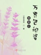 �촩֮��������