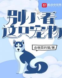 ��С����ֻ����