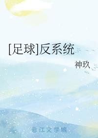 [����]��ϵͳ