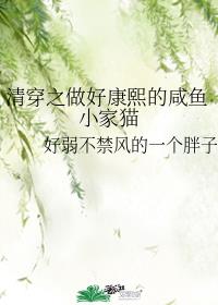 �崩֮���ÿ���������С��è