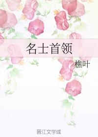 ��ʿ����